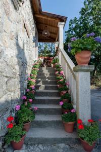 Ferienhaus Casa dos Mestres Sober Spanien