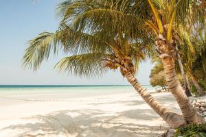 Hotel Blanco Tulum Adults Only
