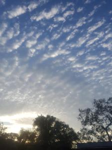 Yellow Cottage - bush and beach