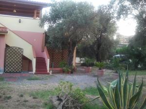 Casa L' Antico Ulivo img21