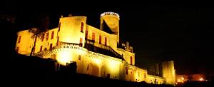 Maisons de vacances Les Vignes du Chateau de Duras Wifi et Belle vue : photos des chambres