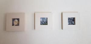 Duinenhuis Zeepolder 27