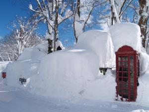 Woody House Kazamidori