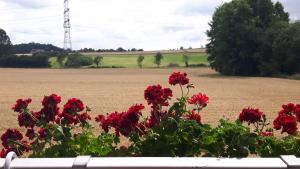 Monteurzimmer Beate Ackermann