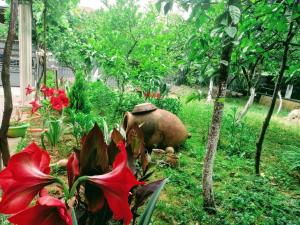 Guest House Ukimerioni