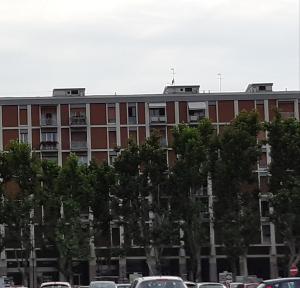 CAV Diamond by People