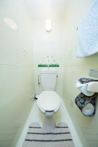 Cozyhouse 211 free wifi a rented electric bicycle