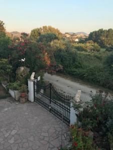 Floros Apartments