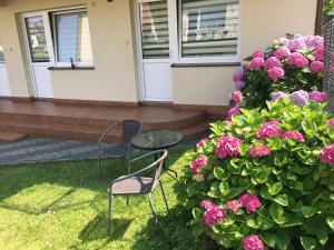 Pokoje Gościnne Wiola