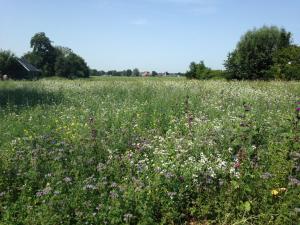 Bêd en Brochje de Hollen