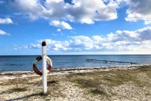 Cosy little guesthouse near beach & public transport