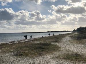 Cosy little guesthouse near beach & public transport