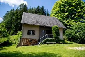 Roatmoaralm Almhütte - Rachau