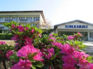 Dom Wczasowy Kolejarz - Żegiestów 