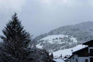 Appartements Chalet des pistes : photos des chambres