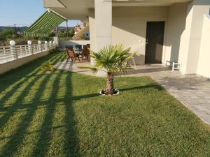 Mango apartment