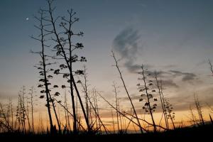 Nuestra casita en CABO DE GATA