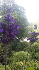 Le Dormeur du Val photo 9