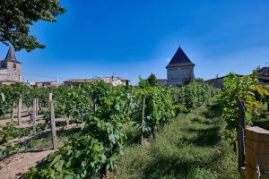 Luxurious Wine Estate Saint-Emilion Grand Cru with private swimming pool