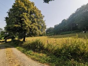 Maisons de vacances Domaine LVD avec SPA, bois et riviere privee : photos des chambres