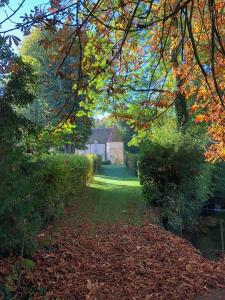 Maisons de vacances Orangerie du chateau de Quemigny sur Seine : photos des chambres