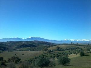 Fattoria Riomoro