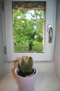 Le domaine des rouges queues