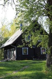 Der Kolonist - Leipe