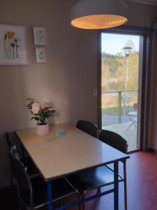 Måvikens Camping