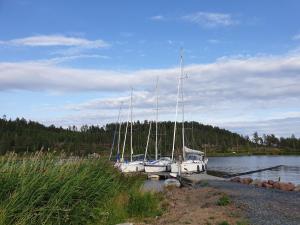Måvikens Camping