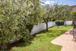 Villa Sveta Eufemija - Bed and breakfast