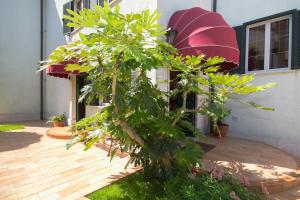 Villa Sveta Eufemija Bed end Breakfast I