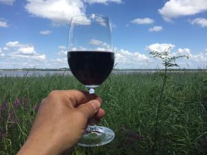 Domaine De Giron photo 9