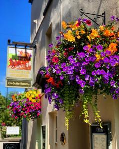 3 star pansion The Coach and Horses Inn Chepstow Suurbritannia