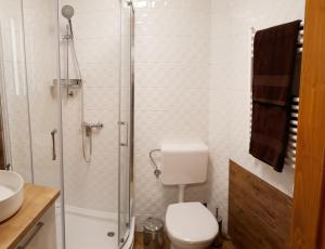 Central Platinum Apartman Harkány