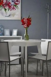 Chayka Home Hotel - Kapitanovka