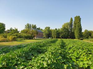 B&B / Chambres d'hotes 