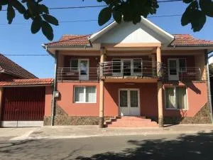 SergillioHouse - Pietroasa
