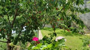 Къща за Гости Солакови **