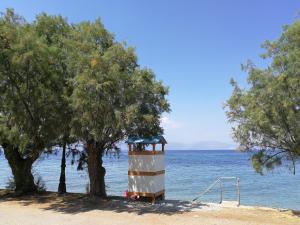 Angels Place by the Sea