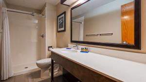 King Suite with Whirlpool room in Best Western Plus Hudson I-94
