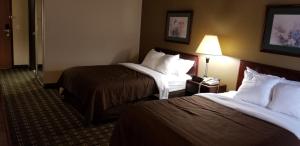 Double Room room in FairBridge Inn & Suites Batavia-Darien Amusement Park