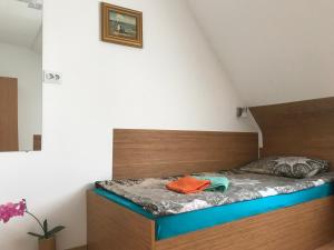 Pension Haus Baron 1 Neckarau