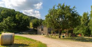 la cartiera dei benandanti