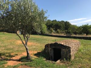 Sejours a la campagne Le Pre des Taupes : photos des chambres