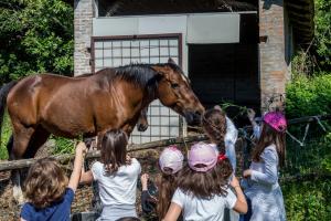 la cartiera dei benandanti