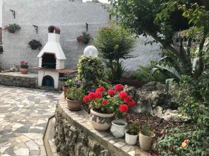 Apartments Mirna with parking