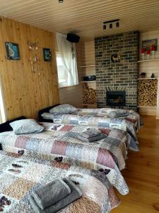 Karpu dīķis-Kempings Viesītes