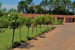 The Lazy Grape Guest Lodge & Spa