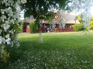 Agroturystyka Józefówka Borkowo Lęborskie - Strzeżewo